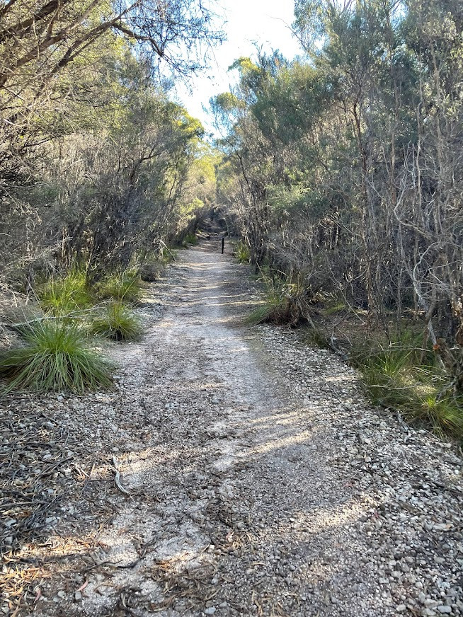 Sweet Caroline MTB Trail