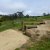 Kingborough Mountain Bike Park